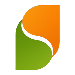 SEEN USA Logo Only
